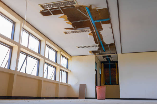 Best Carpet water damage restoration  in Baxter, MN