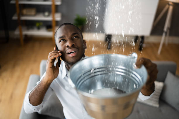 Best Commercial water damage restoration  in Baxter, MN