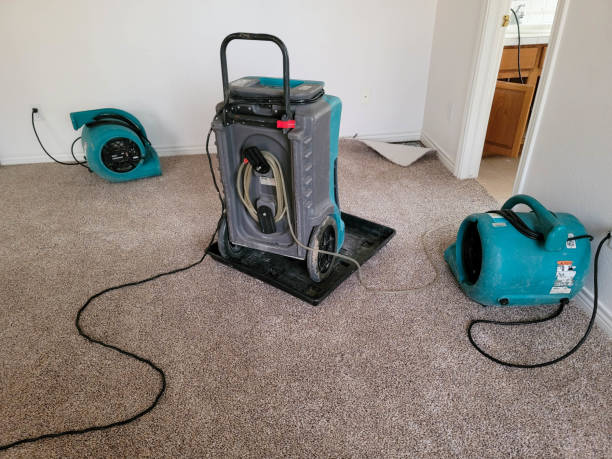 Best 24-hour water damage restoration  in Baxter, MN