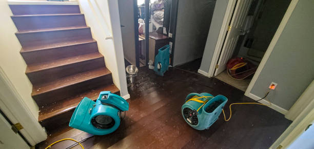 Best 24/7 water damage repair  in Baxter, MN