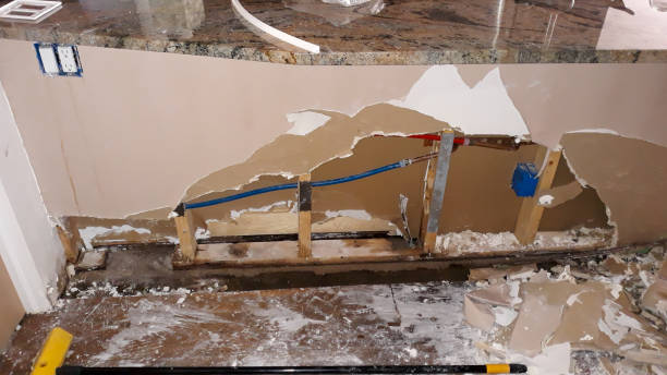 Best Water damage repair service  in Baxter, MN