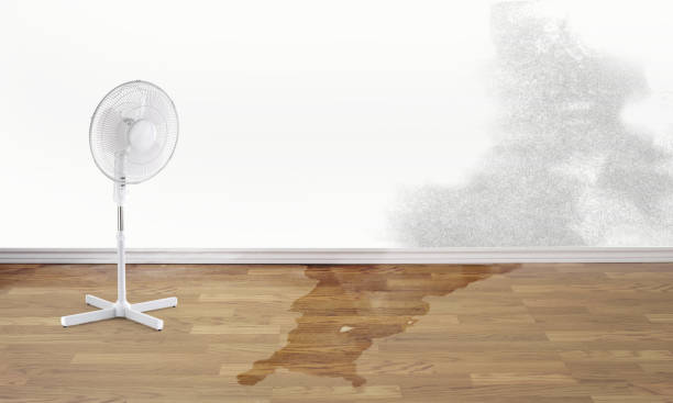 Best Water damage restoration specialists  in Baxter, MN