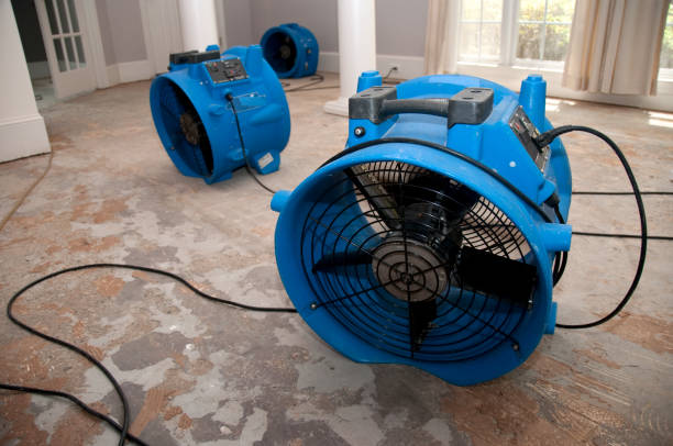 Best Water damage contractors near me  in Baxter, MN