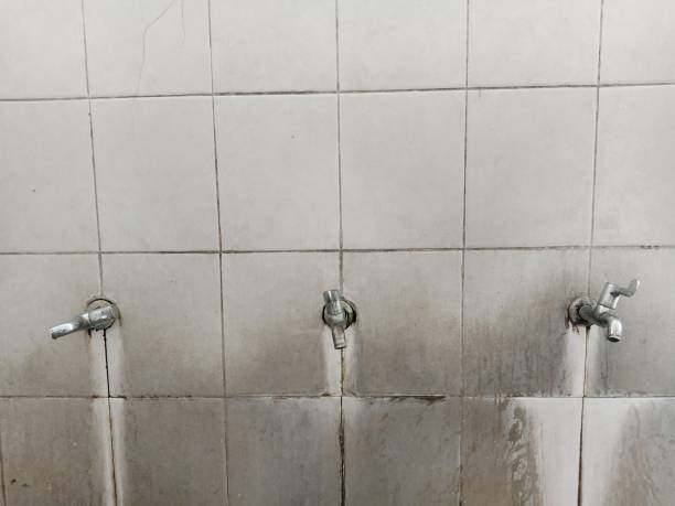 Best 24/7 water damage repair  in Baxter, MN