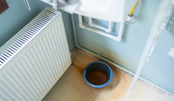 Best Local water damage restoration  in Baxter, MN