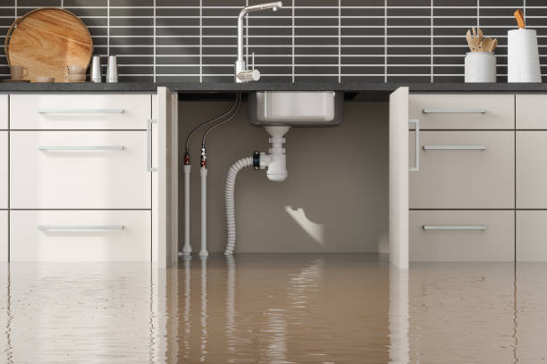  Baxter, MN Water damage restoration Pros