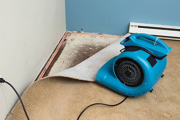 Best Residential water damage restoration  in Baxter, MN